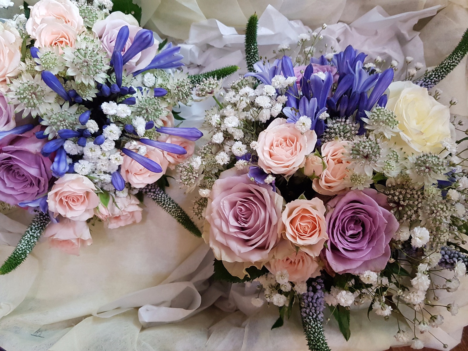 IMG 20170724 184646 839