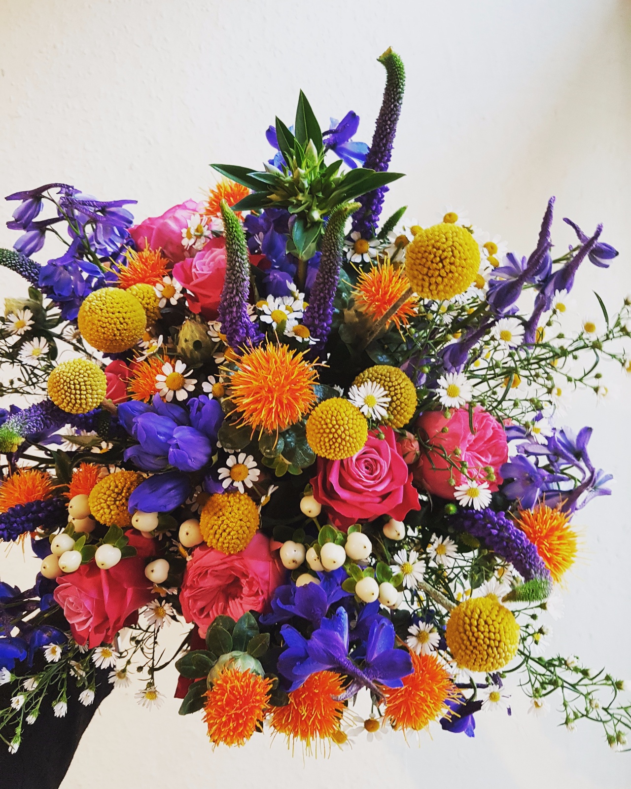 IMG 20170924 123522 508