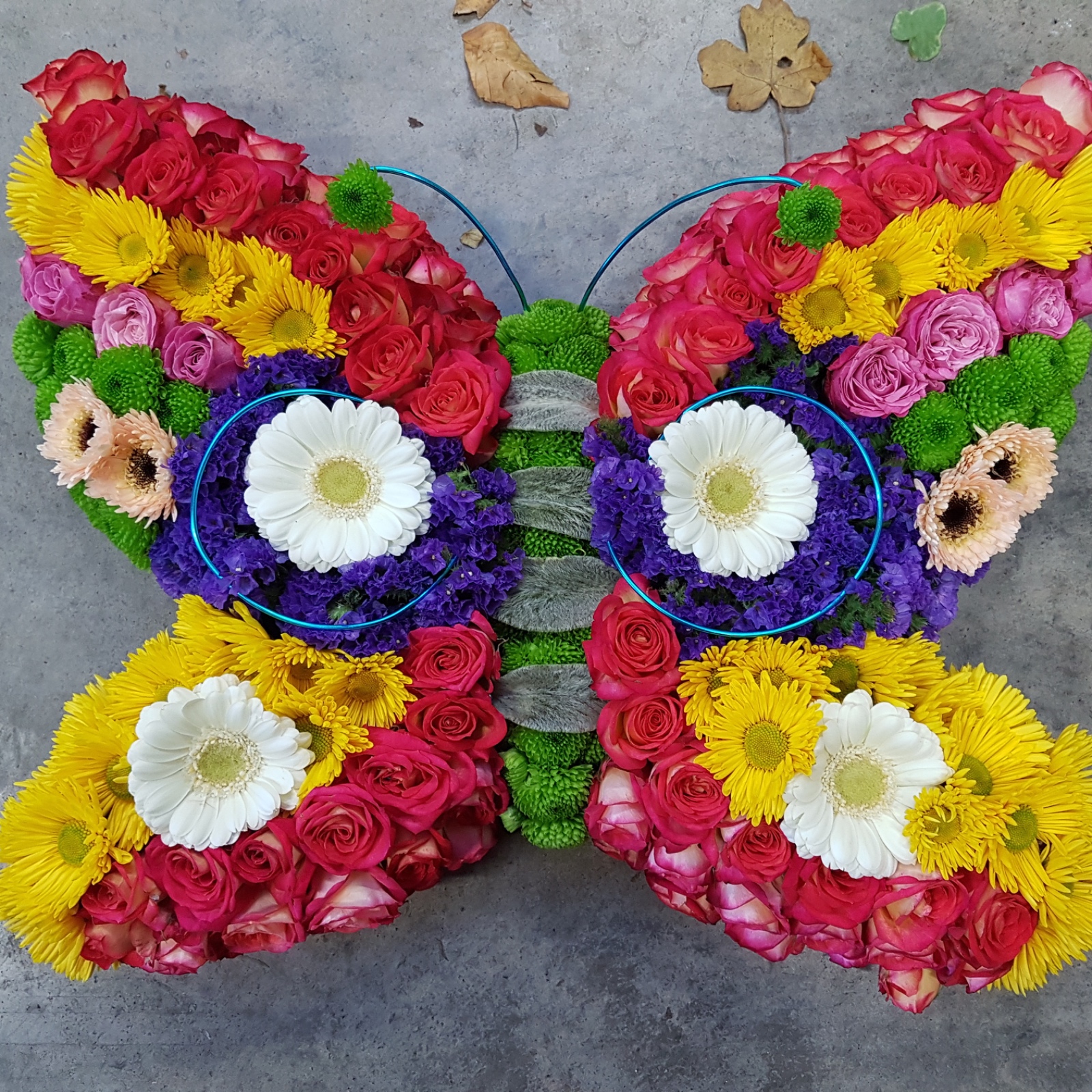 28DE6F23 E357 4D7E 9E85 B53D57CF4302