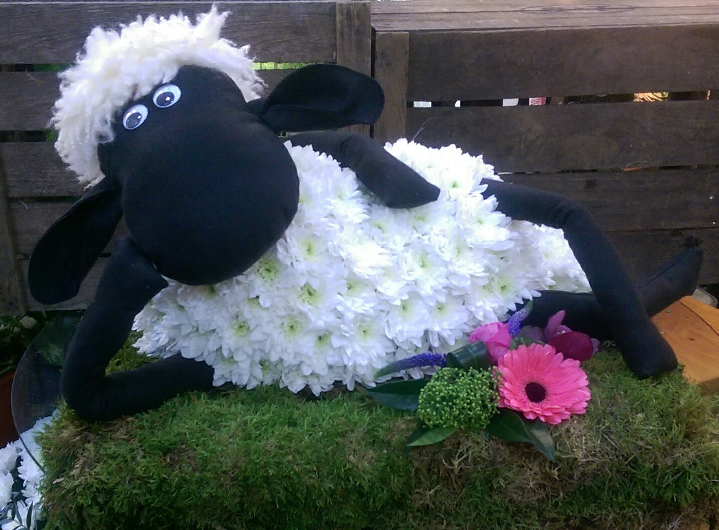 29251107 12D5 4D83 843D FAD8BFE8CD00