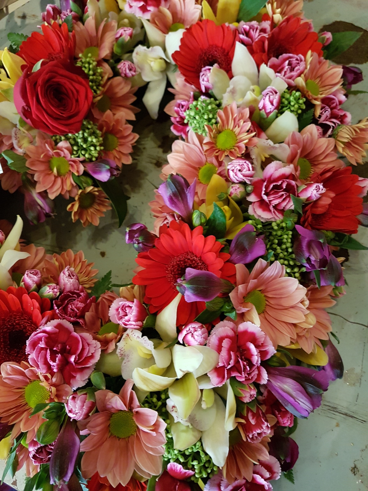 343B3F24 1530 416B 8FB5 A44E696CE84E