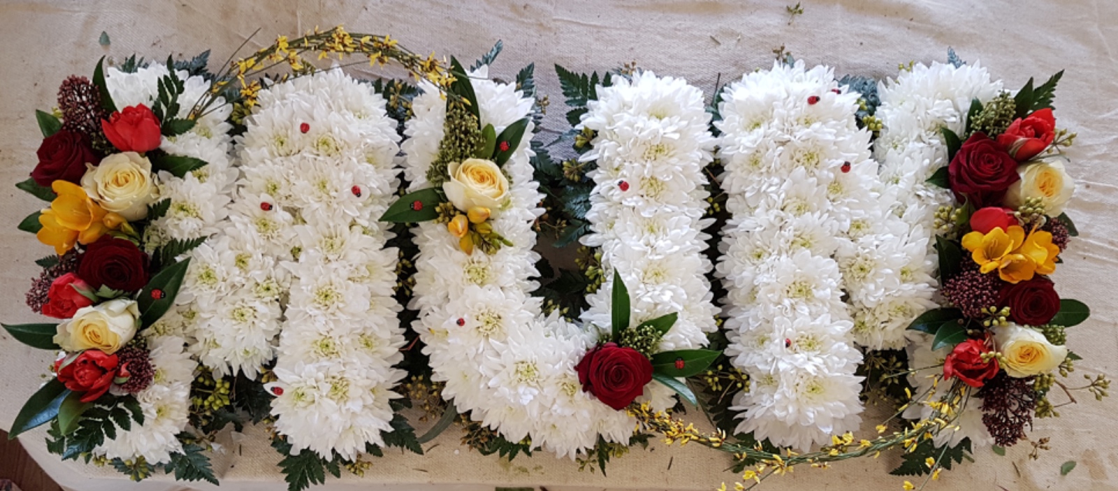 3DBFF0E4 71D0 4100 A023 EE3E22355CFC