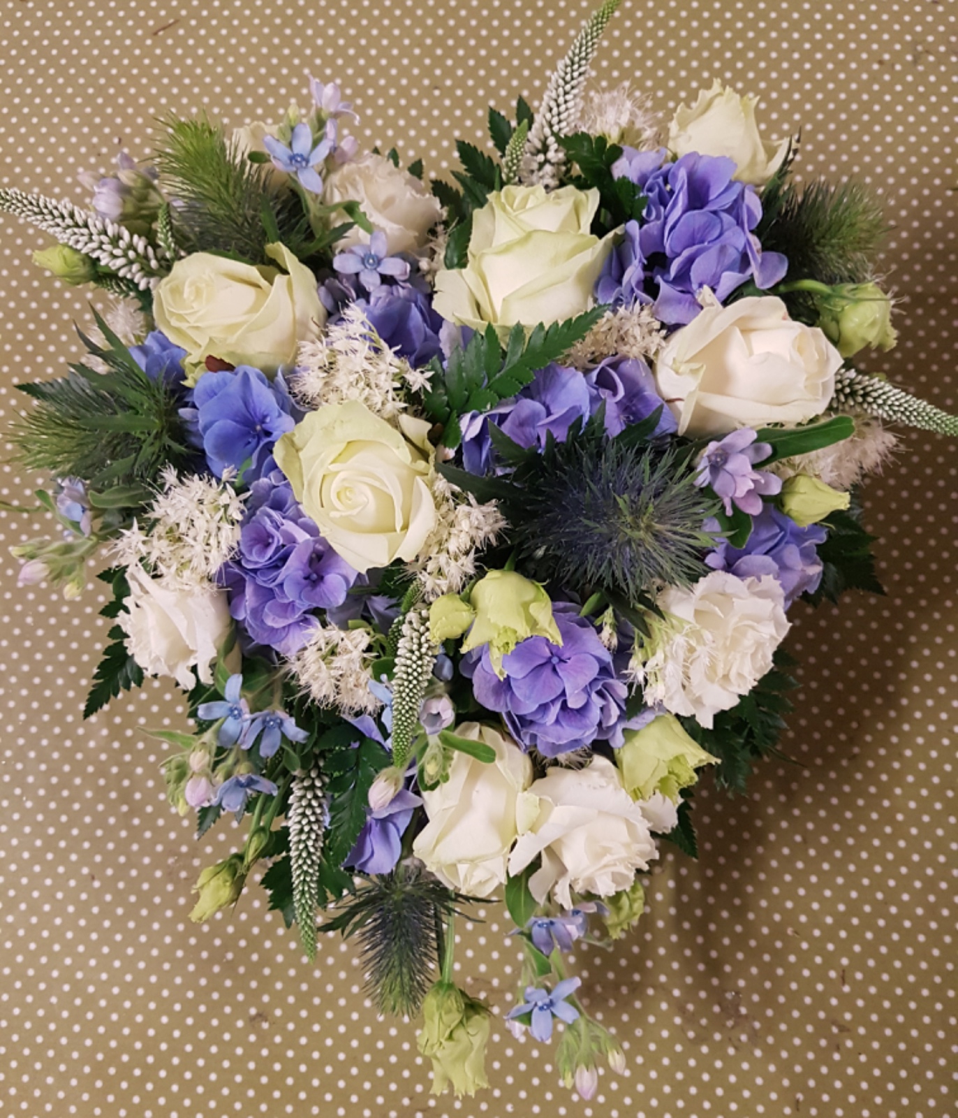 52EEDAAB 5C19 4945 A676 0E8F9BCD6CFD