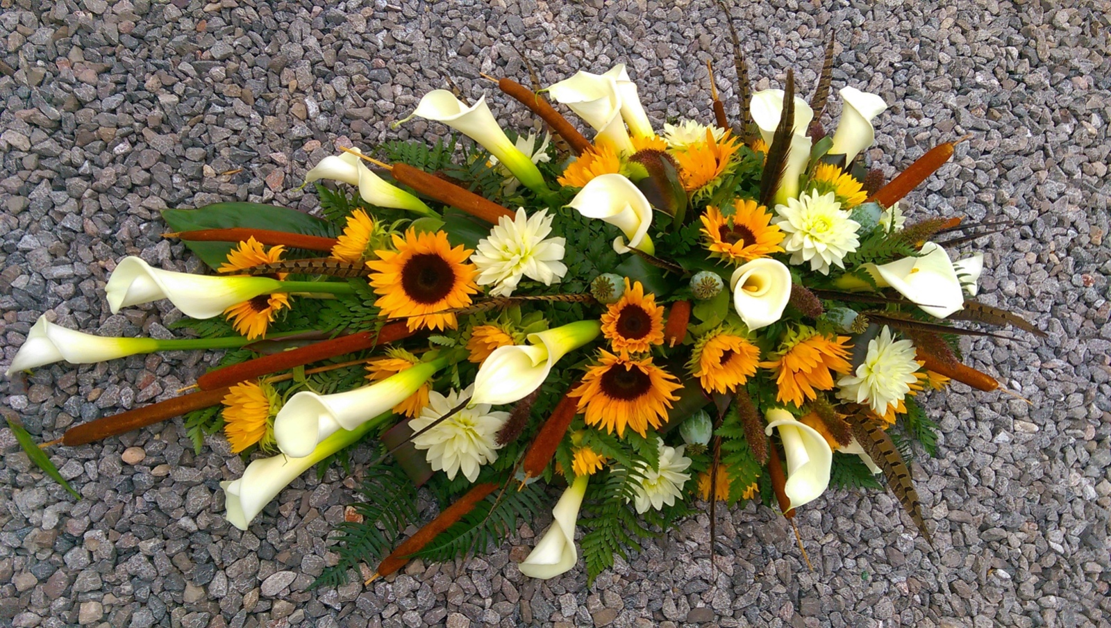 BB3B05B3 BAC8 43F7 90E7 09BA5CD7D881