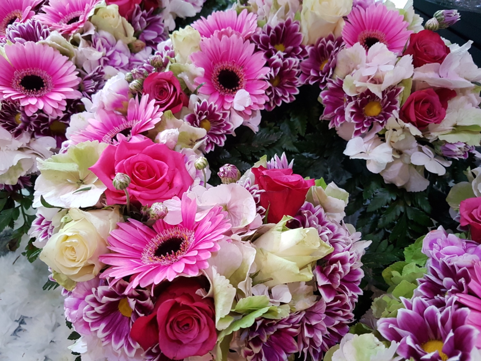 F5864AC5 54C7 4B06 9390 A2B570196F24